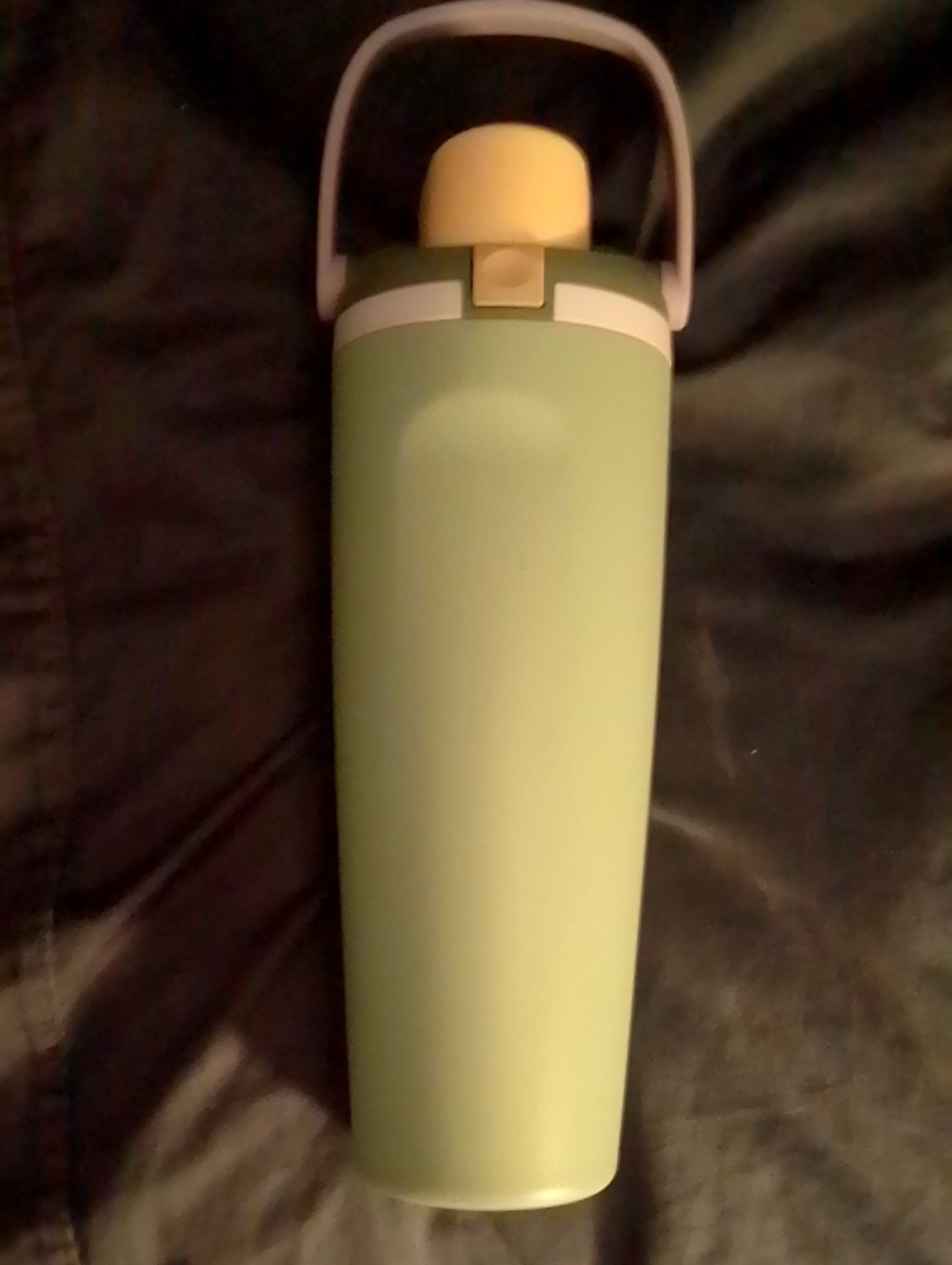 Owala Mint Green Water 30oz